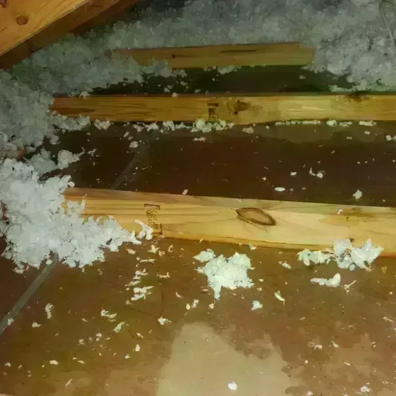 Attic Water Damage in Coweta, OK